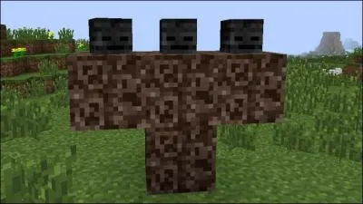 Comment l'invoquer ?