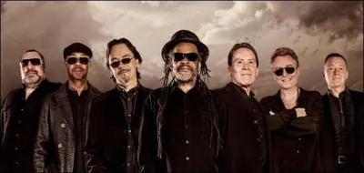 Tirée du répertoire d'Elvis Presley, cette chanson façon Reggae signifie : Je ne veux pas tomber amoureux ! Mais vous ne le répétez pas hein !