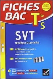 Épreuve de sciences de la vie et de la Terre (SVT) : comment se nomme une cellule dépourvue de noyau ?