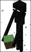 Peut-on regarder un enderman ?