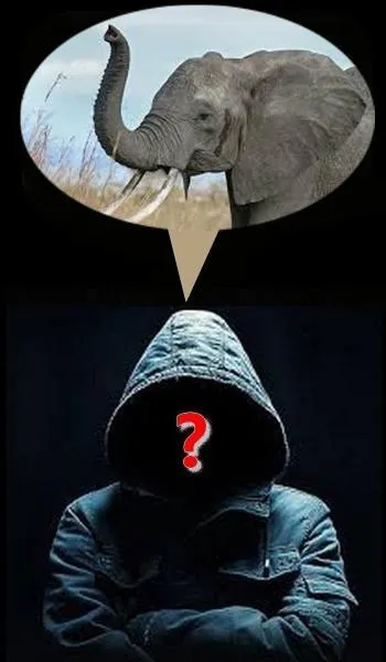 Qui est cette personnalité ?