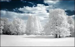 Parmi les mots suivants, lequel n'appartient pas au champ lexical de l'hiver ?