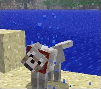 Les loups peuvent se téléporter au Nether.