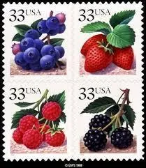 Agrandissez la photo représentant des timbres à l'effigie de fruits rouges. Je vous demande le nom en anglais du fruit situé sur le timbre en bas à gauche :