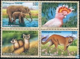 Observez ces timbres de plus près, combien de mammifères y voyez-vous au total ?