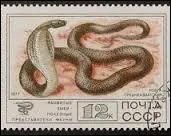 D'après le serpent figurant sur ce timbre, trouvez le continent sur lequel ne vit pas cet animal :