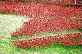 Quelles sont les fleurs ?