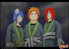 Par quel ninja ont-ils été entraînés ?