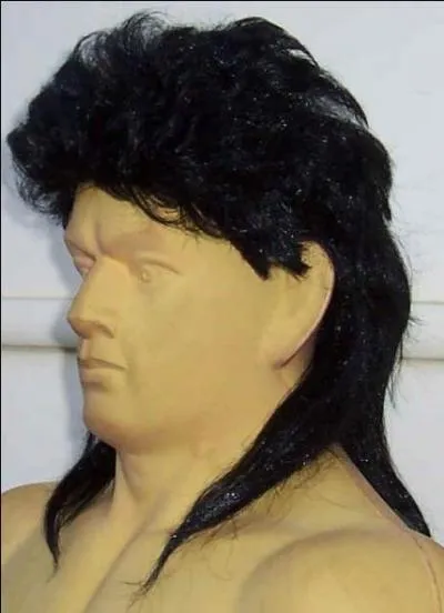 Le personnage que l'on cherche ne porte pas de perruque... Mais avouez que cette coupe mulet vous fait penser à quelqu'un, n'est-ce pas ! Alors, qui ?