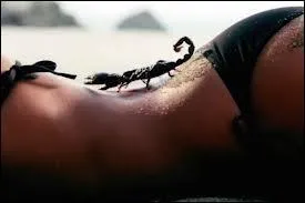 Le scorpion est un animal sacrément étonnant de par sa robustesse. En effet, outre le fait de pouvoir vivre trois ans sans nourriture, il peut aussi résister à des écarts de température allant jusqu'à (en moyenne) :