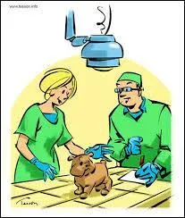 Quel est ce métier ?