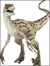 Quel constructeur nous propose de rouler en "Raptor" ?