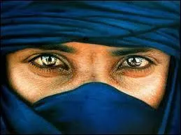 Le "Touareg" qui vous précède vous cache la vue, c'est une...