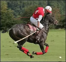 Quelle marque propose le modèle évoqué ci-dessous ?