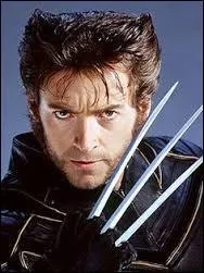 Qui commercialise la "Logan" ?