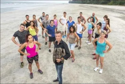 Comment s'appelle l'équipe jaune ?