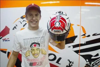 Quel insecte est représenté ci-contre sur son casque ?