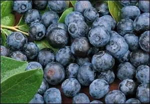 Comment se nomment ces fruits ?