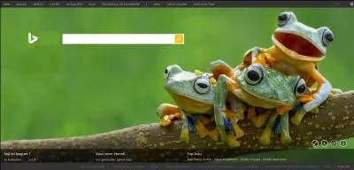 Quel est ce moteur de recherche ?