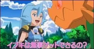 Quelle est l'erreur dans cette image d'un épisode ?