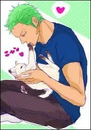 Zoro a-t-il une petite amie, ou craque-t-il pour quelqu'un ?