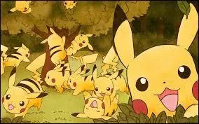 Combien y a-t-il de Pikachu dont on est sûr que ce sont des mâles sur cette image ?