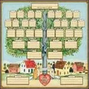 En effet, notre père, voyant le trône vacant à la mort de l'ancien roi, décide de l'occuper. En 743, une coalition amenée par le duc de Bavière, d'Aquitaine et d'Alémanie, suite à l'éviction politique de notre demi-frère, Griffon, conteste notre légitimité. Calmant le jeu, mon frère et moi, remettons le personnage de la question 4 au pouvoir. Au fait, quel nom porte notre dynastie ?