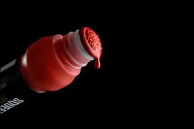 Comment appelle-t-on ce type de marqueur ?