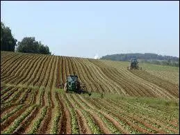 Vous impressionnez les autres avec votre grande...