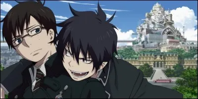 Dans "Blue Exorcist", que sont Rin et Yukio l'un pour l'autre ?