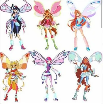 A quoi correspond ce pouvoir ?