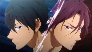 Pourquoi Haruka et Rin ne s'aiment-ils pas ?