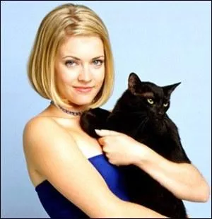 Comment s'appelle le chat noir qui parle dans la série "Sabrina, l'apprentie sorcière" ?