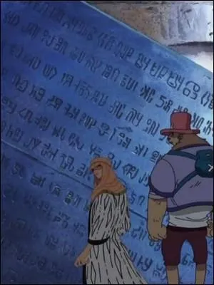 Épisode 102 - Luffy, Zoro et Chopper tombent dans une salle souterraine. Sans s'en rendre compte, ils y découvrent :