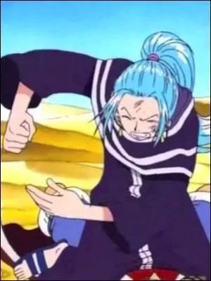 Épisode 104 - Après la déception de n'avoir rien trouvé à Yuba, deux membres de l'équipage du Chapeau de paille ont une terrible dispute et se bagarrent violemment. Lesquels ?