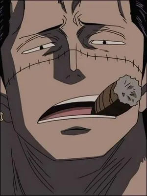 Épisode 110 - Crocodile blesse grièvement Luffy... Que sait-on sur lui ?