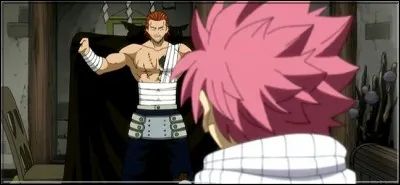 (Épisode 76)
Gildarts revient en fanfare après une très longue absence ! Pourquoi était-il parti et comment s'est déroulée sa mission ? 
(2 réponses)