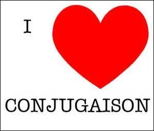 "J'aurais bien aimé venir avec vous." Quels sont les temps et mode employés dans cette phrase ?