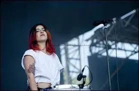 Quel est leur style de musique ?