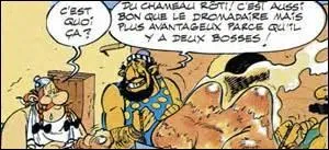 Un petit déjeuner au palais d'un roi de Perse et c'est bombance ! Voyez les explications.
Quel est donc ce pays aujourd'hui ?