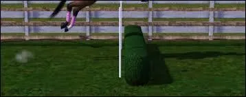 Quel est le nom de cet obstacle ?