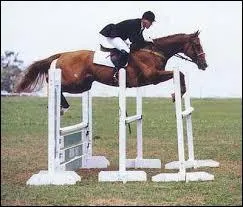 Quel est le nom de cet obstacle ?