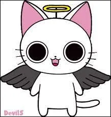 Qui est ce chaton volant ?