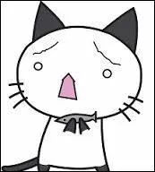 Qui est ce chaton peureux ?