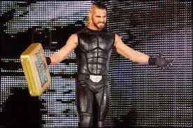 Qui a battu Seth Rollins lors d'un match 1 contre 1 ?