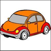 Quelle est la longueur de la route des Tamarins ?