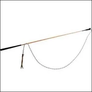 Est-ce que les sticks et les cravaches sont autorisés en reprise de dressage ?