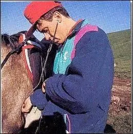 Quel est le pouls du cheval au repos ?