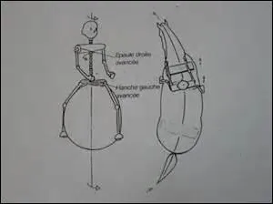Qu'est-ce que l'incurvation ?