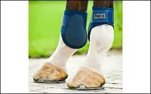 Quelles sont ces protections ?